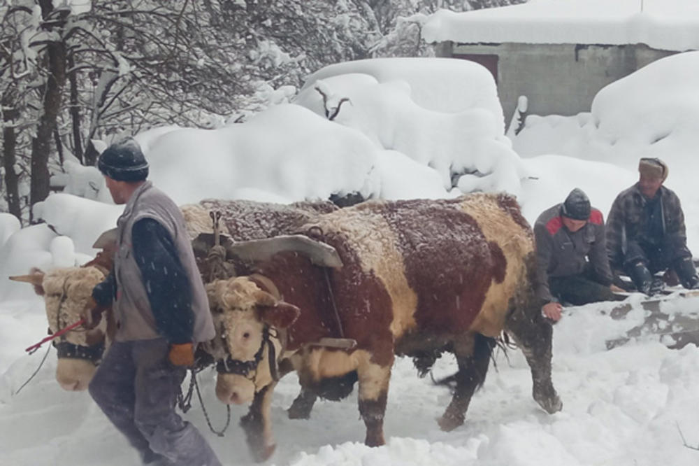 LEDENO JUTRO U ZAPADNOJ SRBIJI: U Sjenici napadalo pola metra snega, a u novovaroškim selima i više od 70 centimetara FOTO