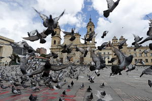 JAK ZEMLJOTRES POGODIO KOLUMBIJU: Treslo se do Bogote, izmeren 5,1 stepen po Rihterovoj skali