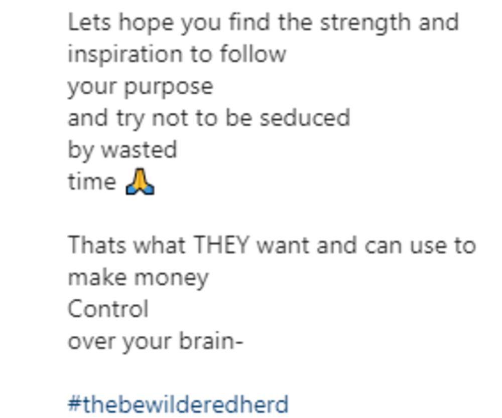 Pamela Anderson, Instagram