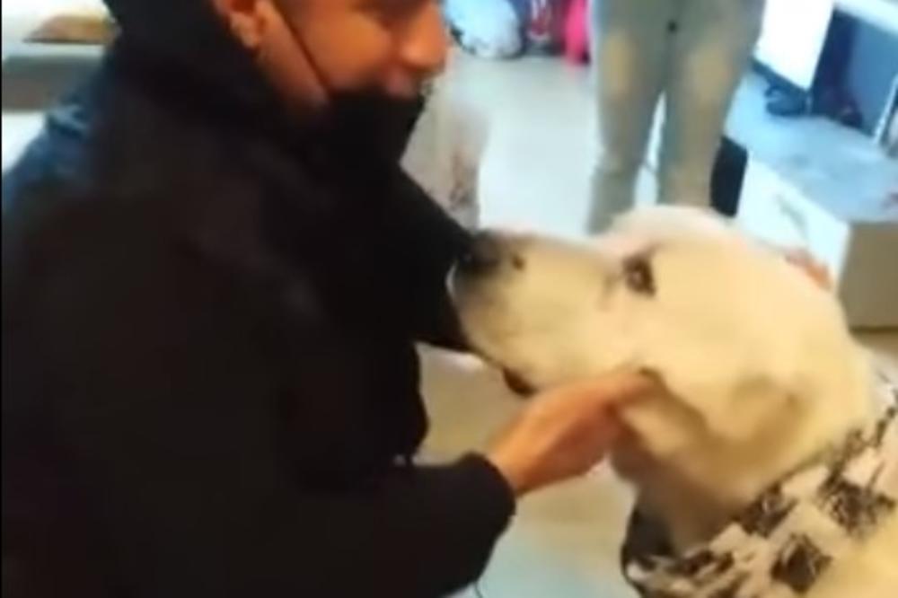 GLAVONJO MOJ, ALA SI OMATORIO: Izgubljeni pas se posle 6 godina vratio kod vlasnika u Požarevac POGLEDAJTE DIRLJIV SUSRET (VIDEO)