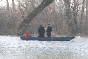 TRAGEDIJA NA TAMIŠU: Utopio se mladić iz Leskovca, skočio iz čamca i nestao pod vodom