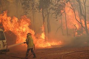 PAKAO U AUSTRALIJI: U požarima izgorela 81 kuća, vatrogascima vetar pravi velike probleme (VIDEO)