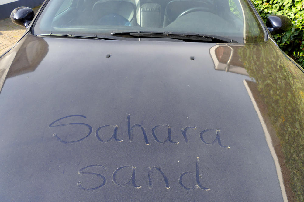 Sahara, kisa, automobil