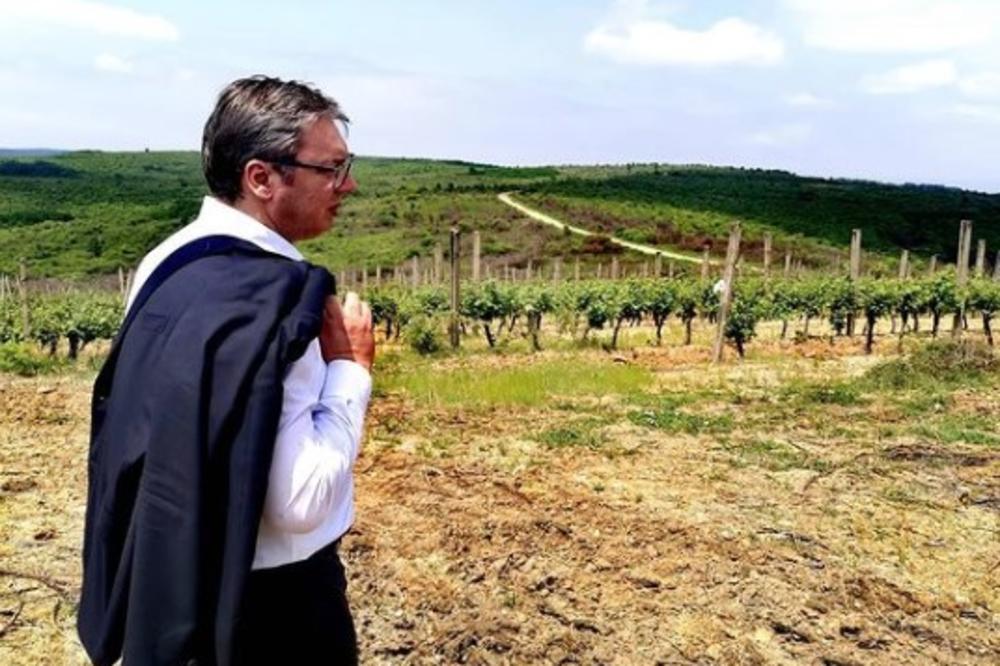 PODGORIČKI MEDIJI PIŠU: Vučić pomaže ponovni izvoz crnogorskih vina u Rusiju