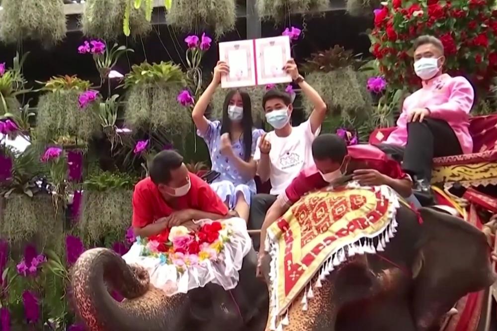 OVAKO IZGLEDA DAN ZALJUBLJENIH NA TAJLANDU: 52 para na slonovima došla na grupnu svadbu (VIDEO)