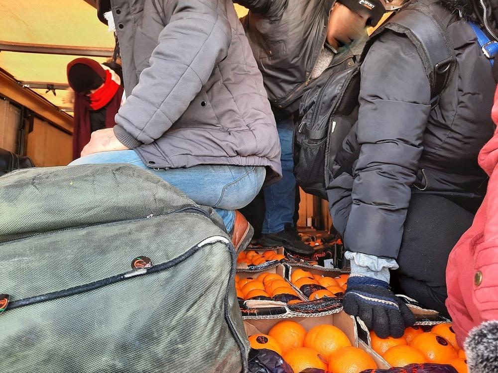 migranti, mandarine