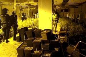 VELIKA AKCIJA ŠPANSKE POLICIJE: Zaplenjeno 2 tone marihuane, među uhapšenima i Srbi