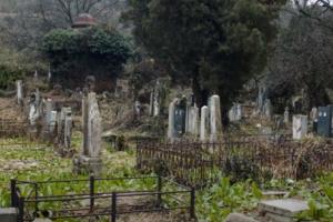 AU, KAKVA BRUKA NIŠLIJA, NEVERICA: U nagomilanom smeću na Starom groblju pronađena i ČAŠA OD JOGURTA bačena pre 70 godina