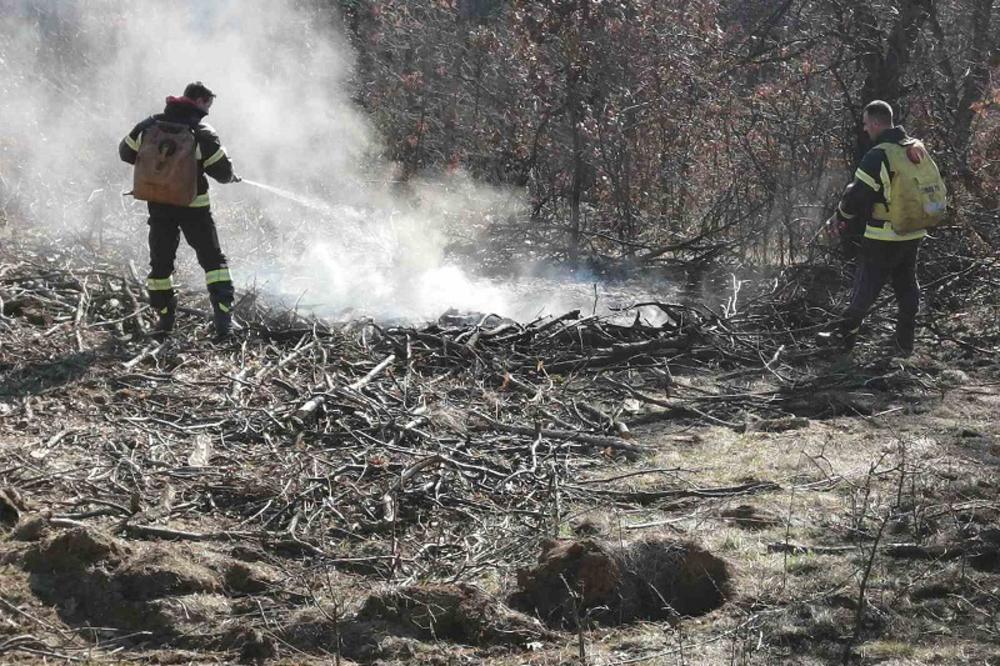 BUKTI OKO PRESTONICE : Vatrogasci lokalizovali još dva požara, u Resniku i Sremčici, gorelo rastinje