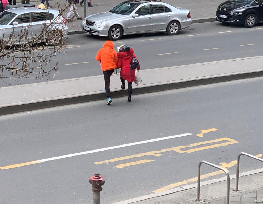 Maja Nikolic sa sinom pretrcava ulicu