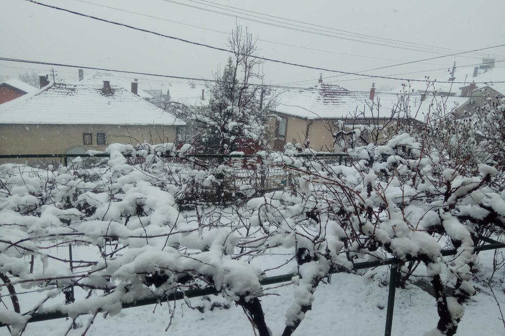 PADA, NE ŠALI SE! Pogledajte koliko je snega napadalo u Vranju! Kao da je Jovanjdan (FOTO, KURIR TV)
