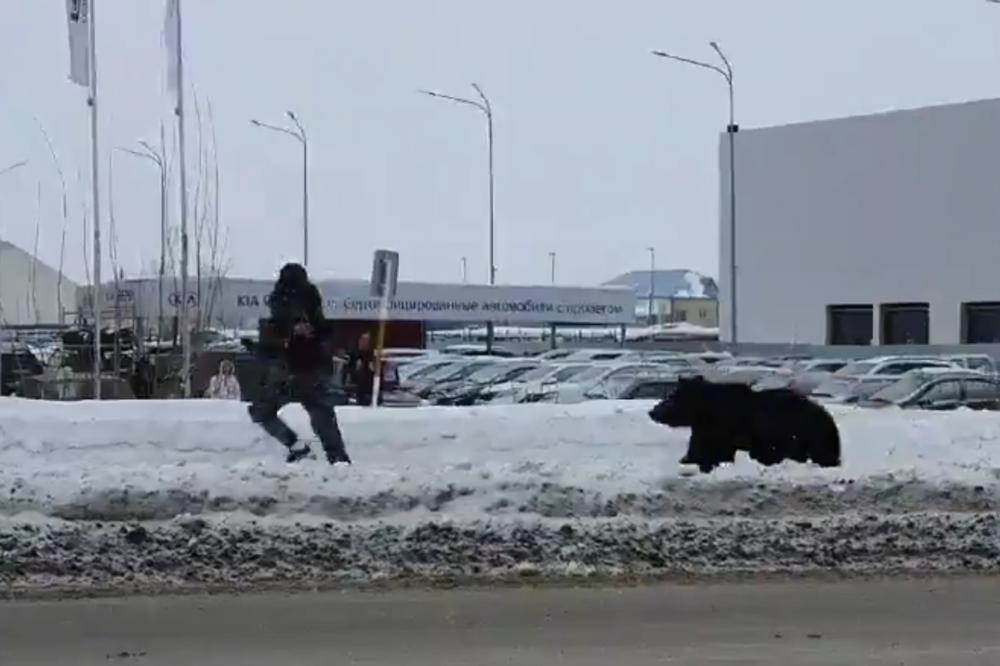 NEOBIČNA POTERA NA ULICAMA SIBIRSKOG GRADA Odbegli medved juri muškarca, a onda je stigla neočekivana pomoć (VIDEO)