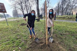Pančevo brine o prirodi: Na prvi dan proleća u Vojlovici zasađeno 500 sadnica trešnje