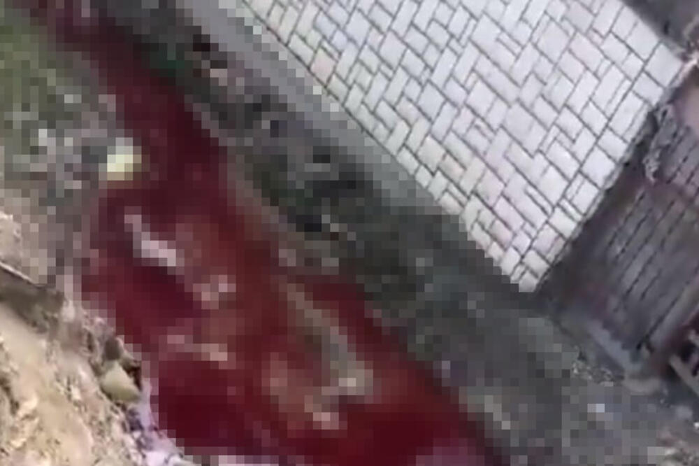 JEZIVA SCENA U NOVOM PAZARU: Krvava reka teče pored kuća u prigradskom naselju MEŠTANI UZNEMIRENI PRIZOROM (VIDEO)