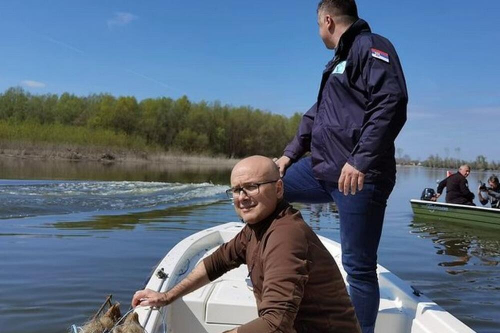 VUČEVIĆ: Štitimo riblji fond, i lično sam postavljao gnezda sa direktorom JVP „Vode Vojvodine“ i udruženjem građana