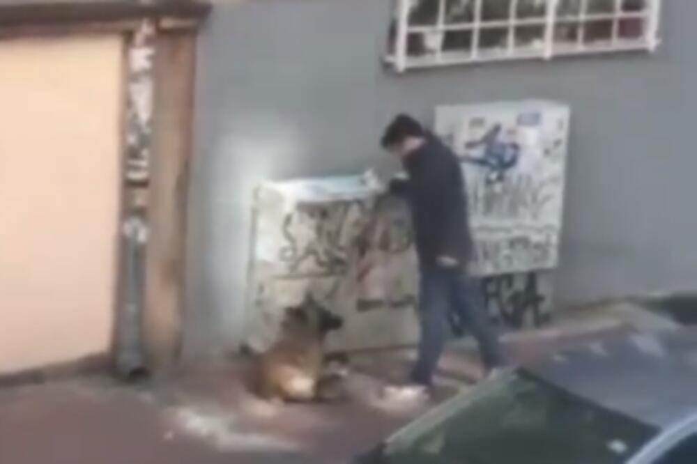 PAS JE LEŽAO A ON GA JE BEZ RAZLOGA ŠUTIRAO! Strašan snimak iz centra Beograda: Mučio ga dok je bio vezan (VIDEO)
