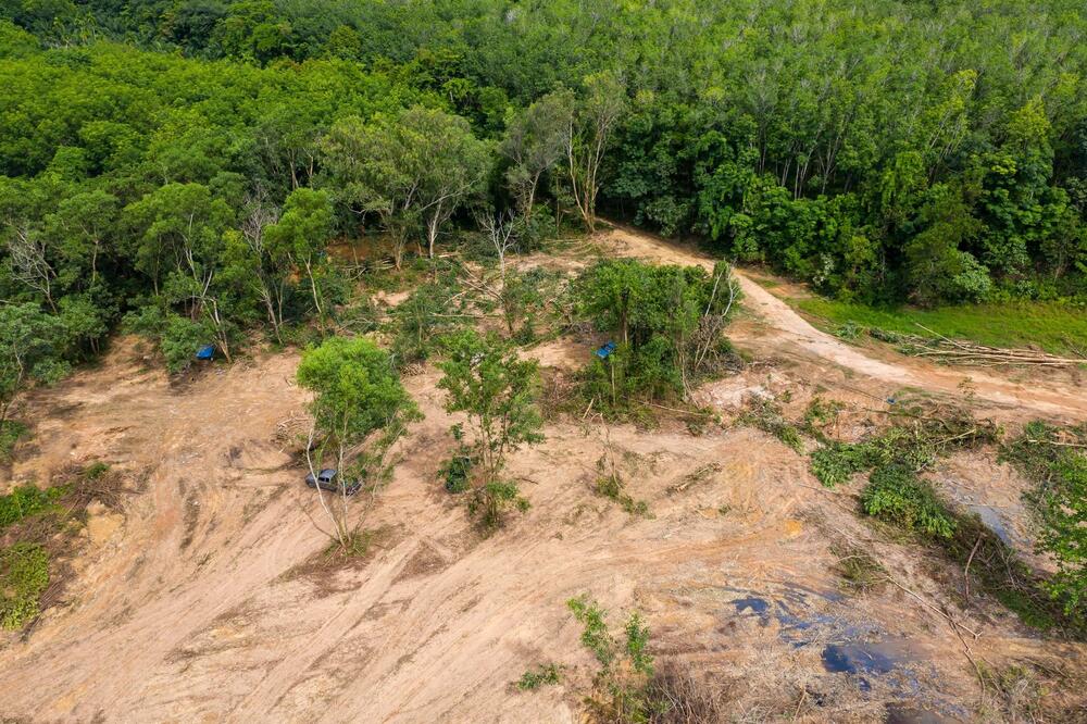 BITKA PROTIV KLIMATSKIH PROMENA IZGUBLJENA? Stručnjaci upozoravaju da se amazonska šuma pretvara u izvor ugljen-dioksida
