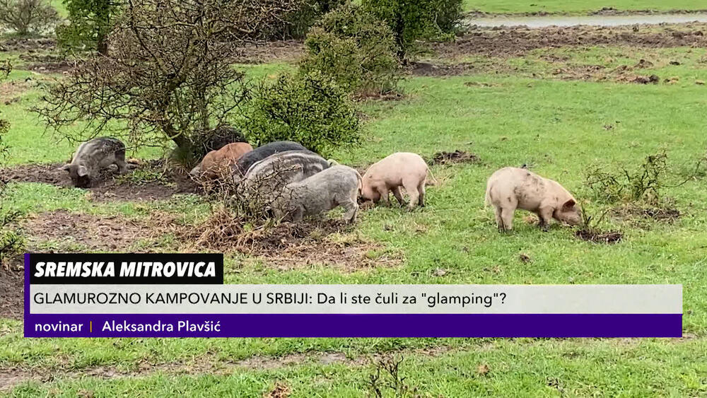 glamping, Sremska Mitrovica, Zasavica