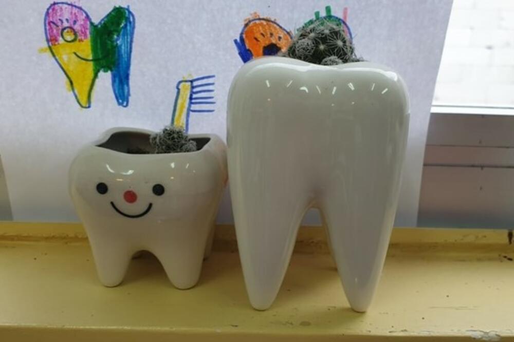 SVAKO DETE KOJE IZVADI ZUB U LJIŠKOM DOMU ZDRAVLJA DOBIJA POKLON: Imaju čak i saksije u obliku zuba! (FOTO)