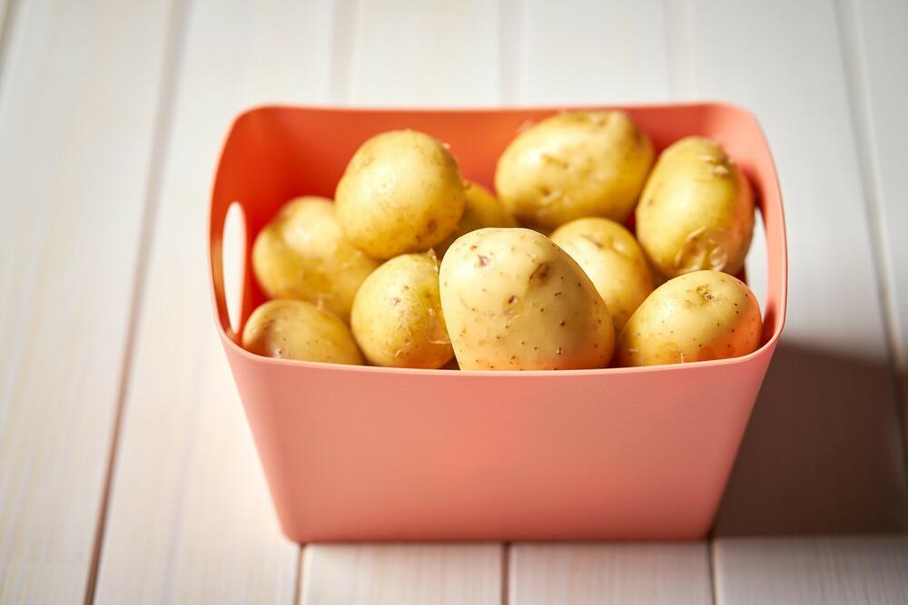 mlad krompir