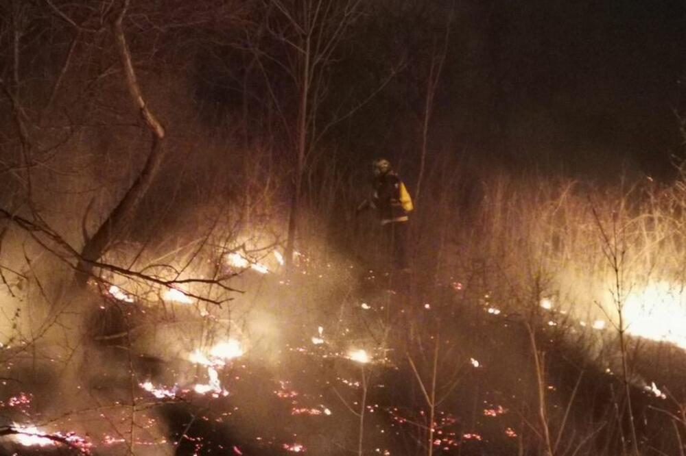 LOKALIZOVAN POŽAR NA ZLATIBORU: Izgorelo oko 3 hektara šume, borba sa vatrom trajala nekoliko sati