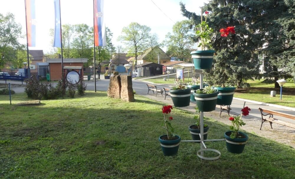 Milinko Arsenov, Kikinda, bolnica, cveće