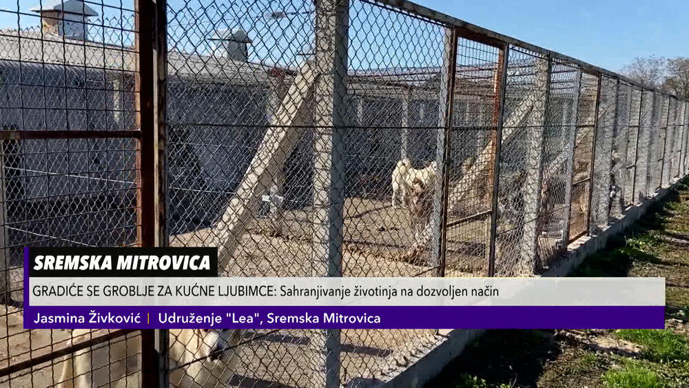 Groblje za kućne ljubimce, Sremska Mitrovica