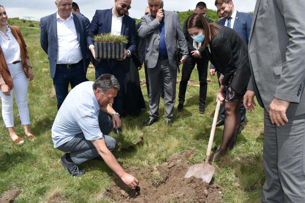 Вујовић: У Новом Пазару 40.000 нових садница до краја годинe