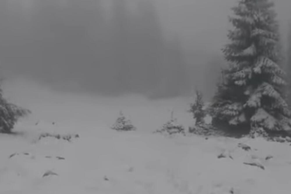 MAJSKI SNEG Vlašić osvanuo pod belim pokrivačem, temperatura u minusu VIDEO