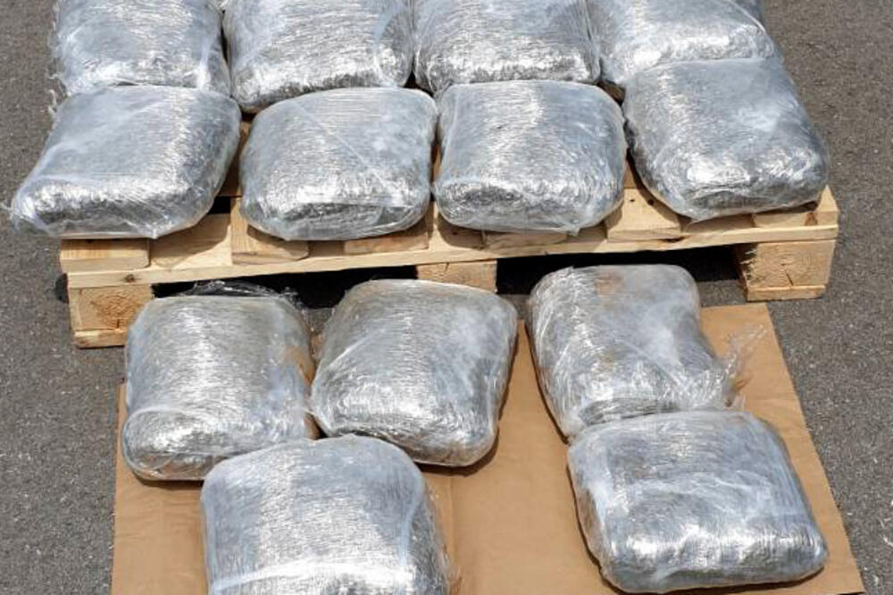 VELIKA ZAPLENA MARIHUANE U BEOGRADU: Državljanin Crne Gore uhapšen sa 25 kg narkotika u automobilu