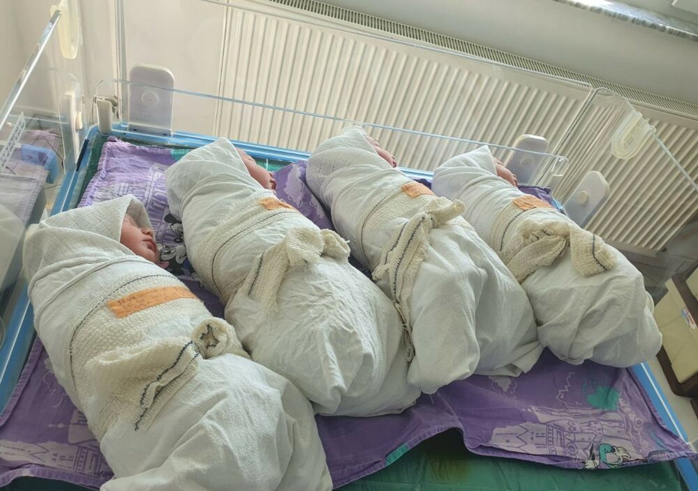 Pasjan, Porodilište, bebe, Kosovo