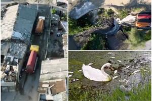 ALARMANTNO! POMOR RIBA ZBOG FEKALIJA: Prljave reke ubijaju i ljude