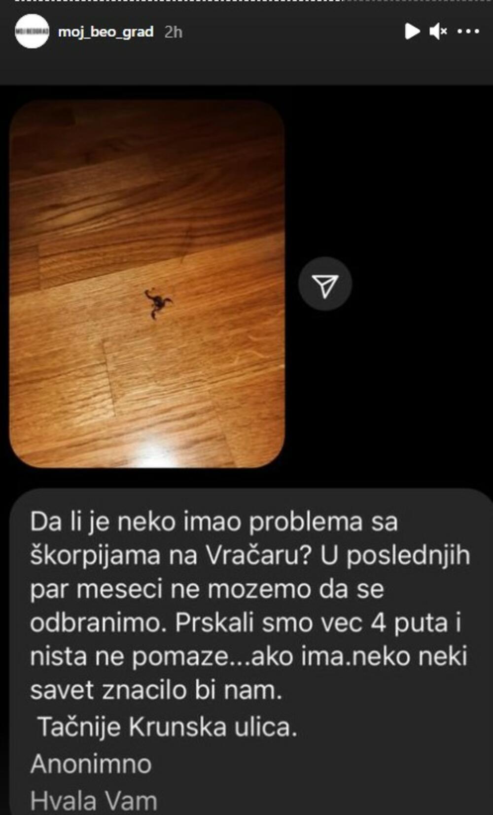 škorpija, Krunska Ulica, Vračar