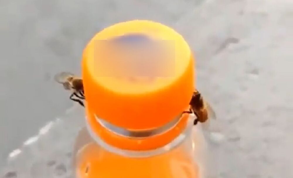 pčele, flaša, sok