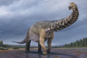 RETKO I DŽINOVSKO OTKRIĆE: U Australiji pronađena nova vrsta dinosaurusa, visok kao dvospratnica, dugačak kao košarkaško igralište