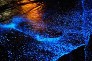U RALJAMA KROKODILA: Kako se čarobno kupanje u svetlucavoj laguni pretvorilo u horor za bliznakinje