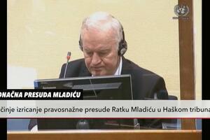 PRVE MLADIĆEVE REČI NA SUĐENJU U HAGU: Sudija ga pitala da li može da prati postupak, evo šta je general odgovorio