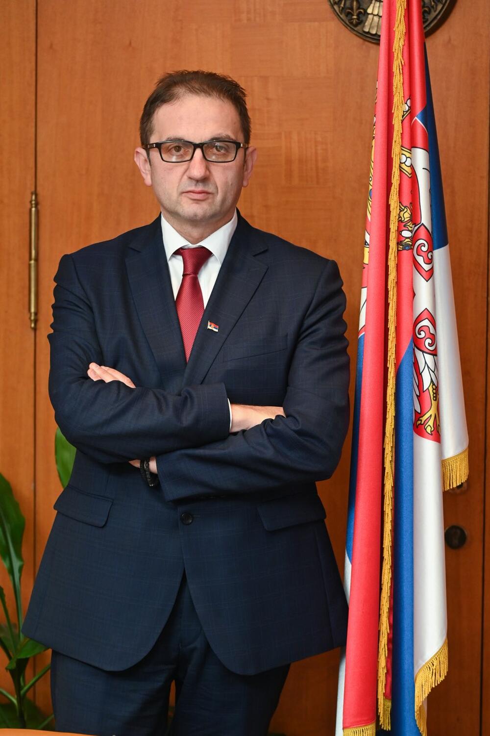 Stevica Deđanski, ekonomski analitičar, politički analitičar, državni sekretar, Ministartsvo energetike i rudarstva