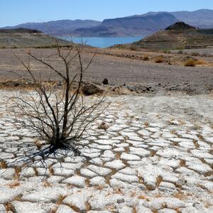 SUŠA SE UROTILA PROTIV MAFIJE: Nikad niži vodostaj jezera pored Las Vegasa