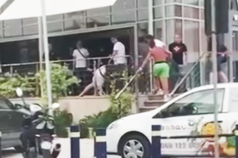 MAKLJAŽA U BUDVI: Stolicom udarili mladića u kafiću, a onda je usledila opšta tuča i jurnjava VIDEO