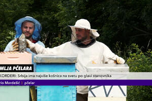 SLATKA PRIČA DAVIDA I DARIJA: Usred Dorćola drže 2.000.000 pčela! Urbano pčelarstvo normalna pojava u svetu, a ima ga i Beograd