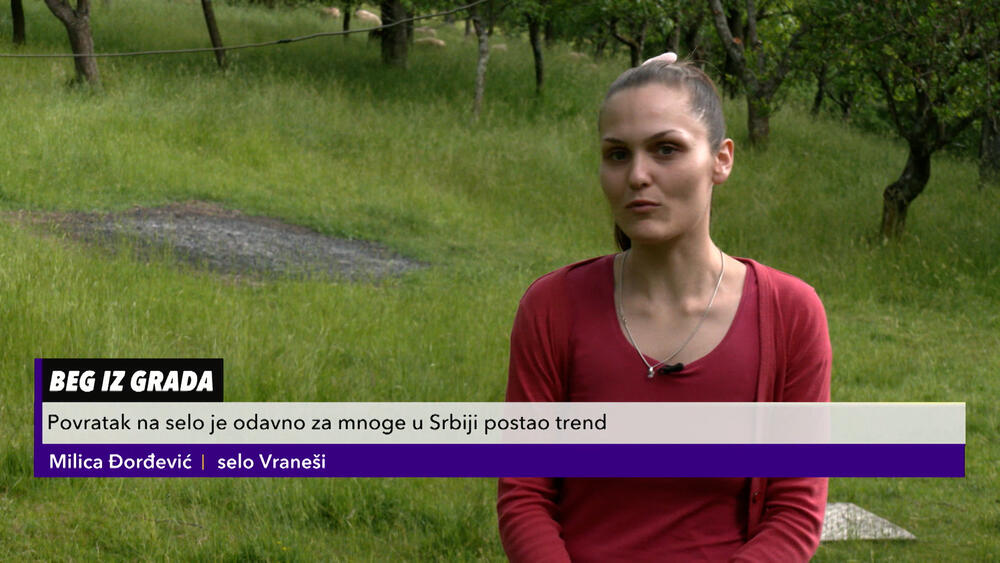 ovčarstvo