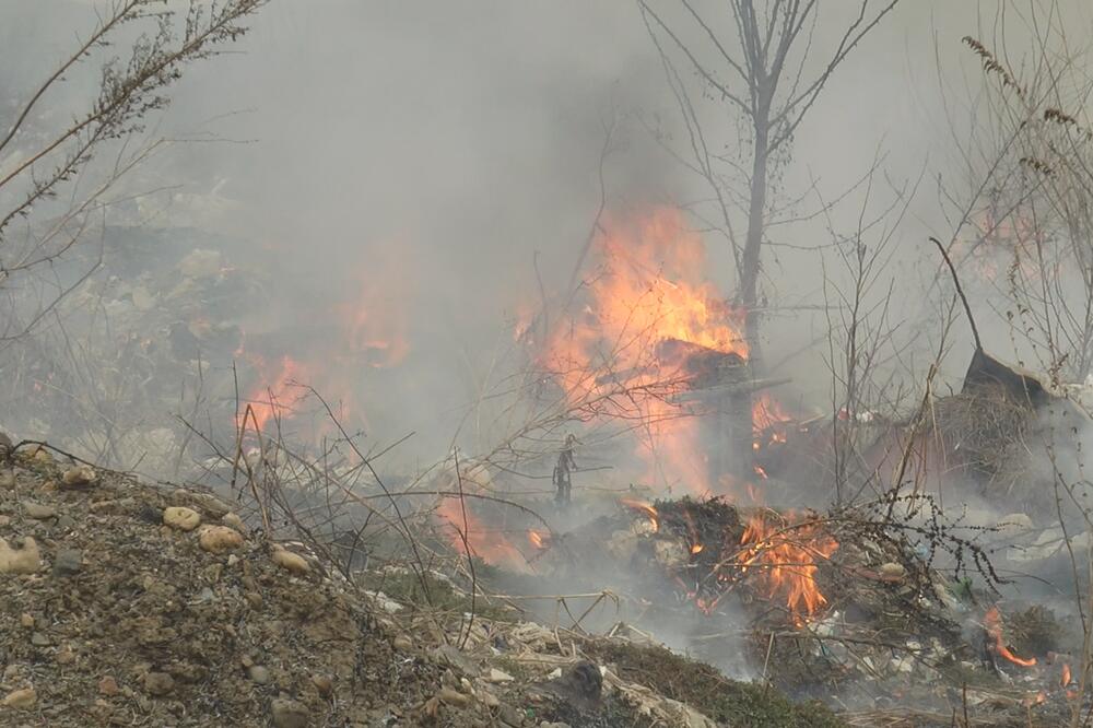 GORI ŠUMA NA ZLATIBORU: Vatrogasci se u borbi sa vatrom, požar juri ka kućama