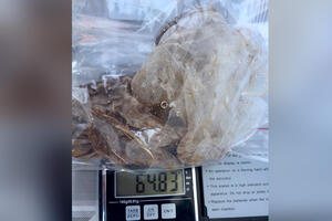 HAPŠENJE U OKOLINI ARANĐELOVCA: Policija pretresla kuću osumnjičenog i pronašla 64 grama heroina