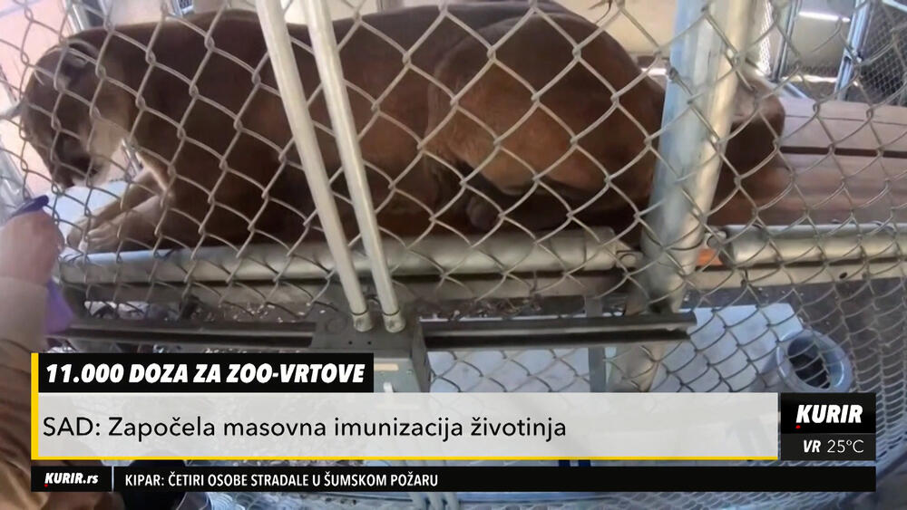 Zoo vrt, vakcinacija