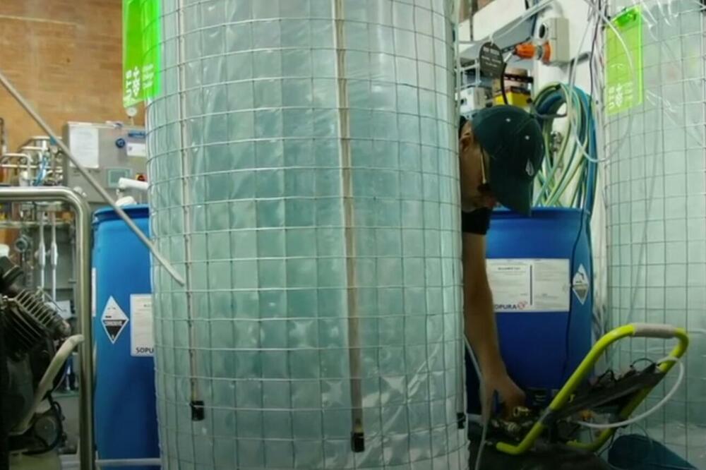 BORCI PROTIV KLIMATSKIH PROMENA: Pivara u Sidneju koristi alge u proizvodnji kako bi smanjili emisije ugljen-dioksida VIDEO