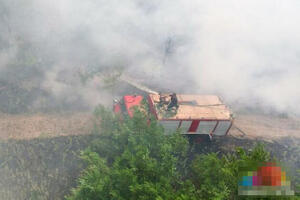 VELIKI POŽAR KOD SUBOTICE: Gori Radanovačka šuma, plamen sa zapaljenog sena prešao na rastinje POVREĐEN TRAKTORISTA