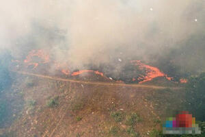 LOKALIZOVAN POŽAR KOD SUBOTICE: Povređen vatrogasac, izgoreo veliki deo Radanovačke šume