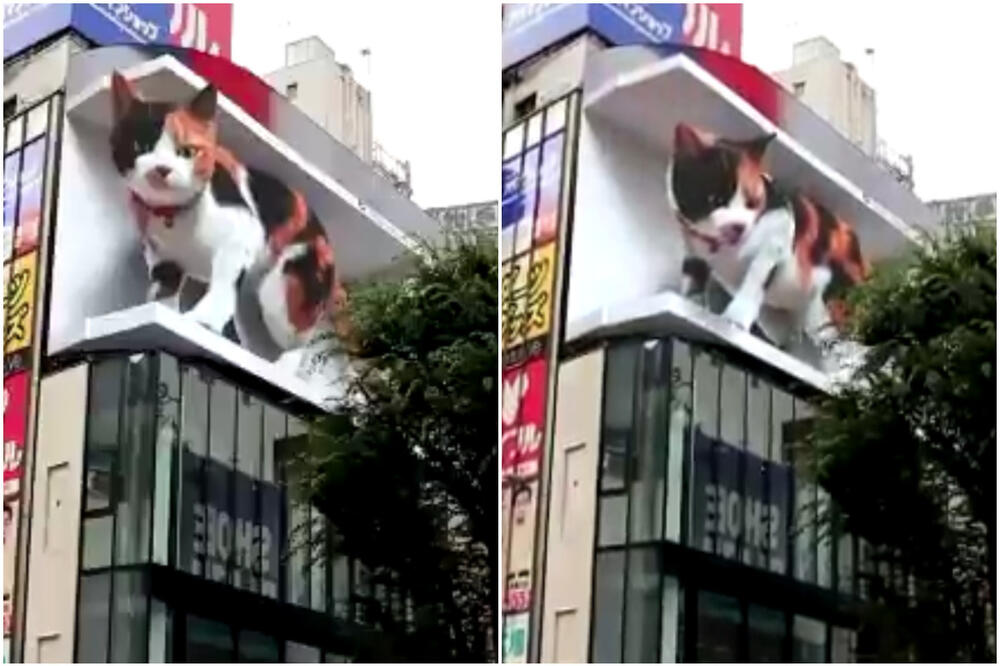 PAZI DA TE NE OGREBE! Džinovska 3D mačka osvanula na bilbordu u Tokiju: Proteže se, maše repom i mjauče VIDEO