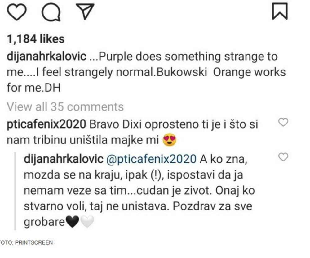 Dijana Hrkalović
